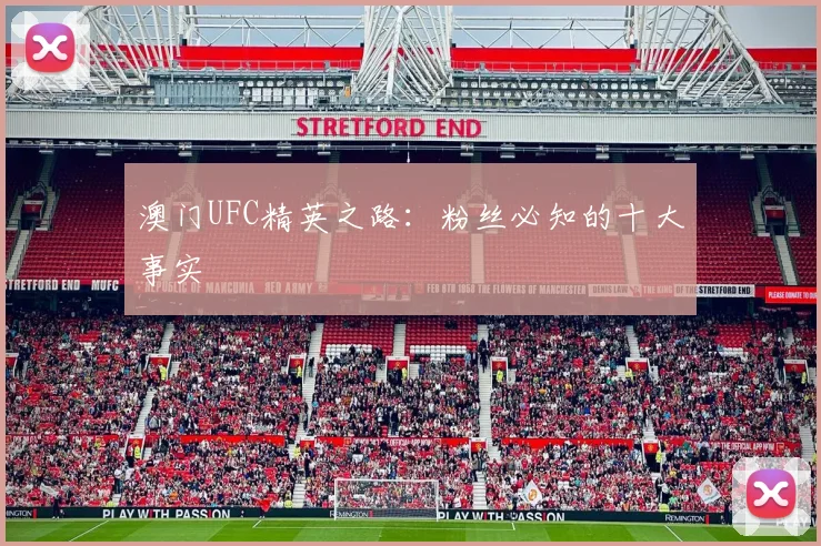 澳门UFC精英之路：粉丝必知的十大事实