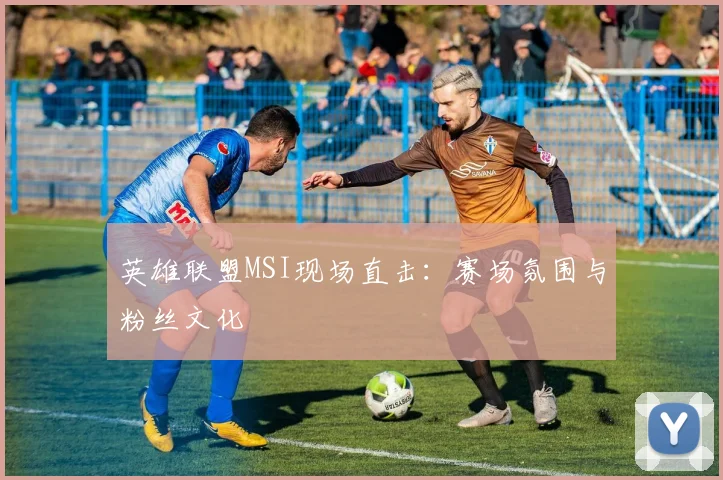 英雄联盟MSI现场直击：赛场氛围与粉丝文化