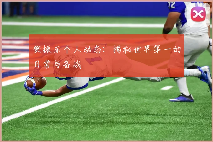 樊振东个人动态：揭秘世界第一的日常与备战