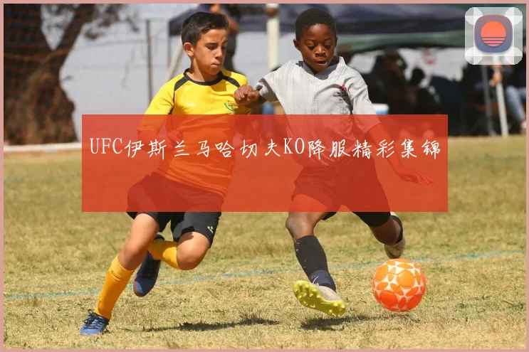UFC伊斯兰马哈切夫KO降服精彩集锦