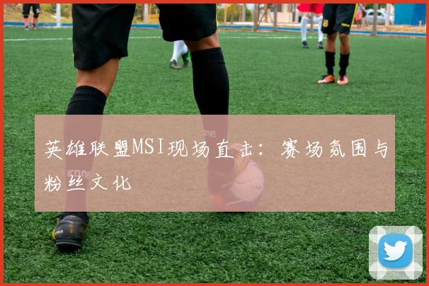 英雄联盟MSI现场直击：赛场氛围与粉丝文化