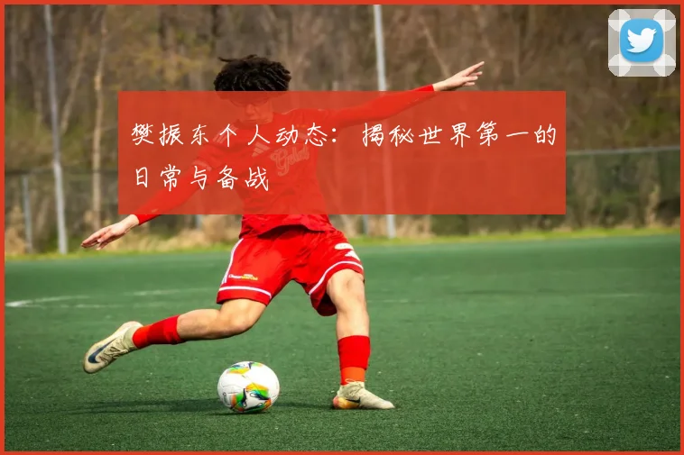 樊振东个人动态：揭秘世界第一的日常与备战